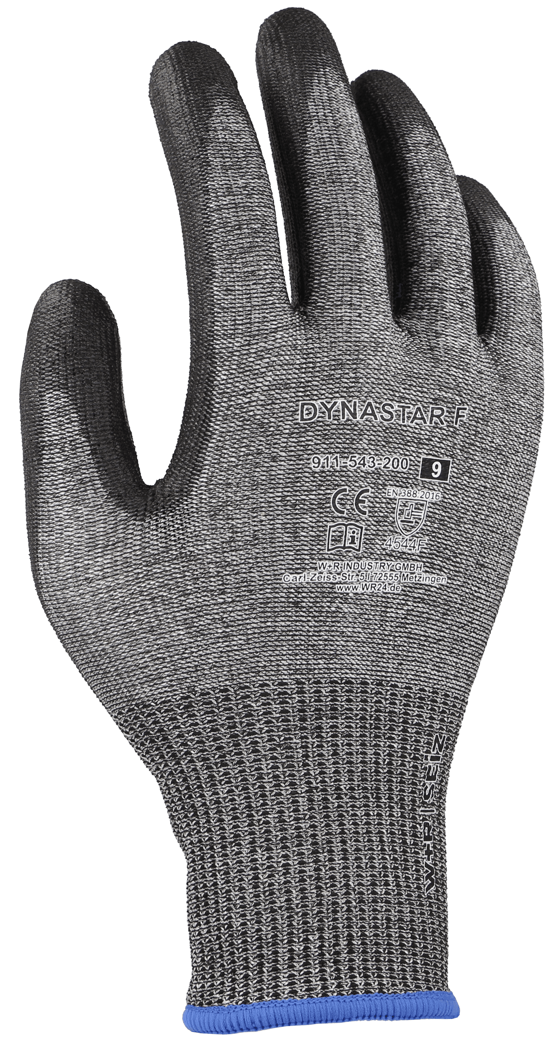 DYNASTAR F – zdjęcie 1