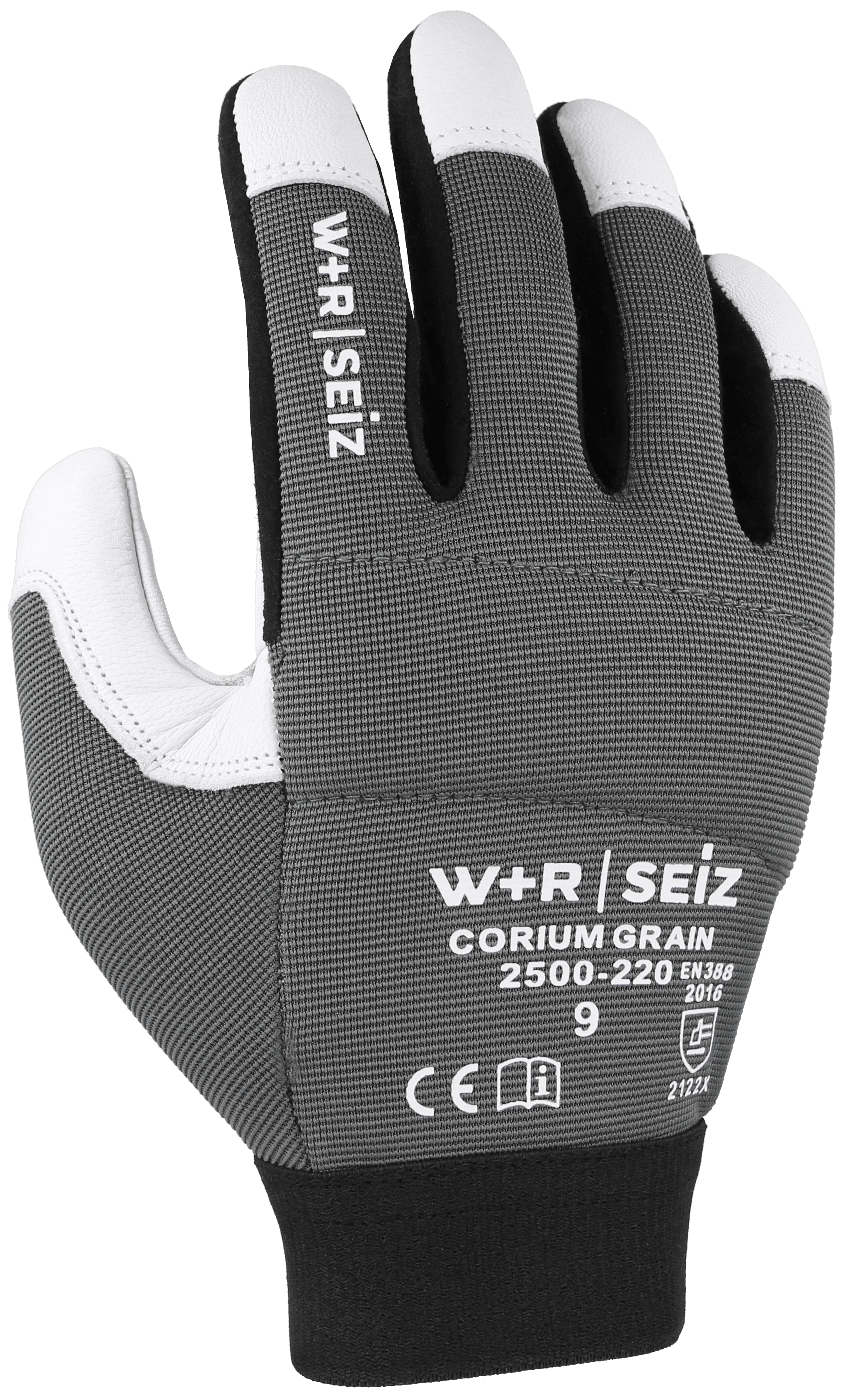 CORIUM GRAIN 2500-220 – zdjęcie 1